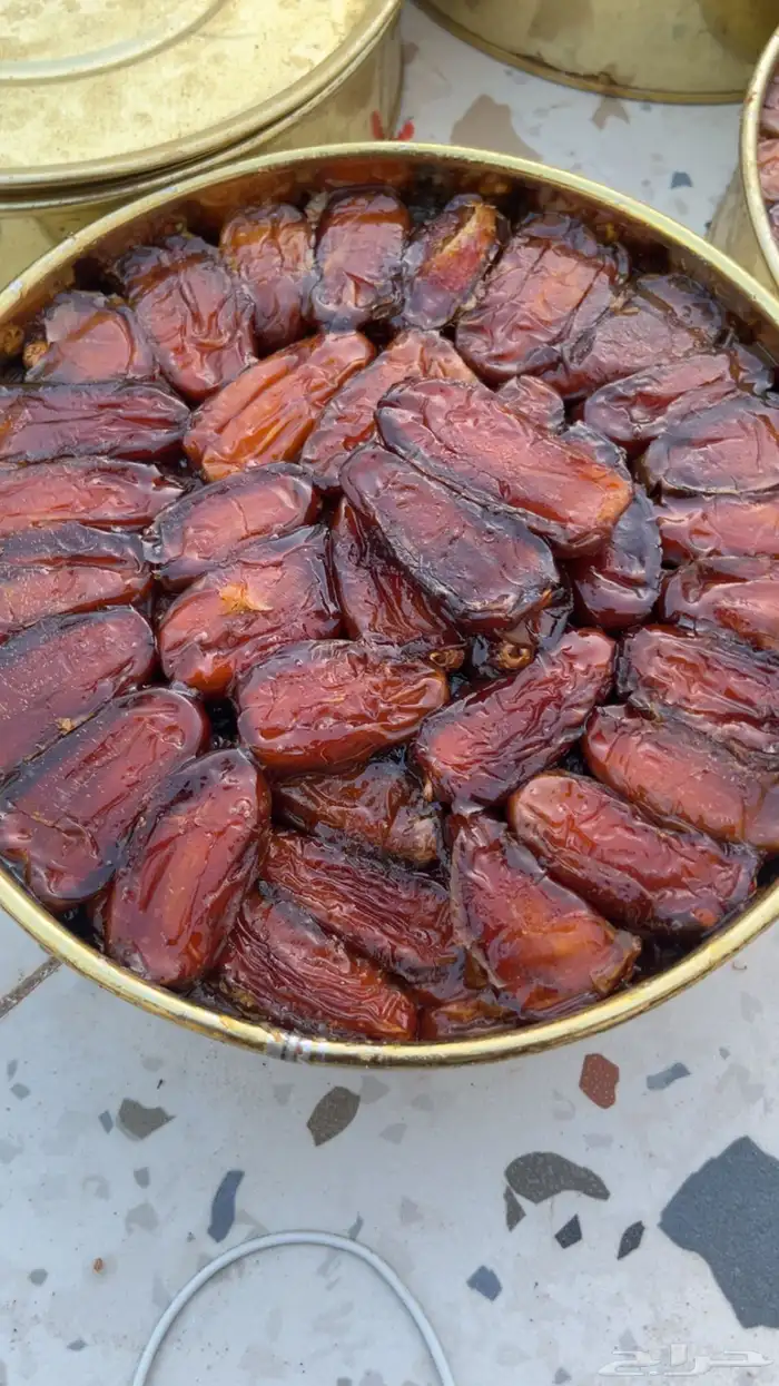 تمر صفري انتاج السنه 3