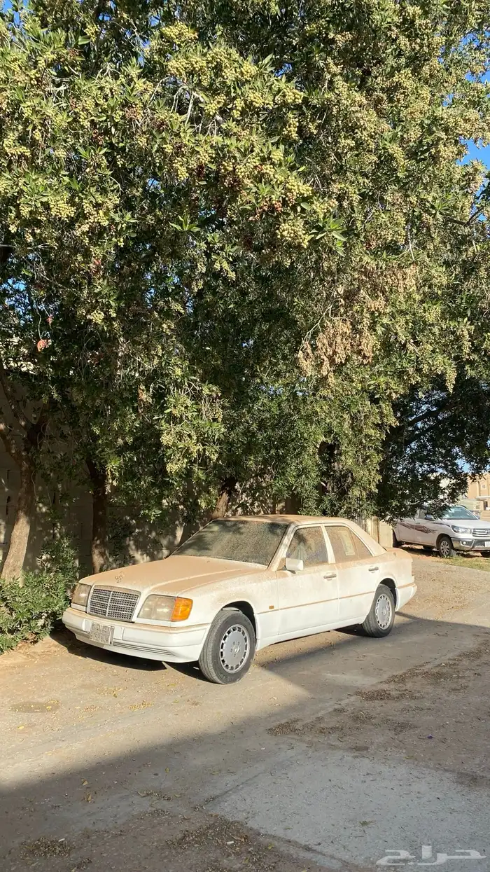 مرسيدس بنز 1991 E230 1