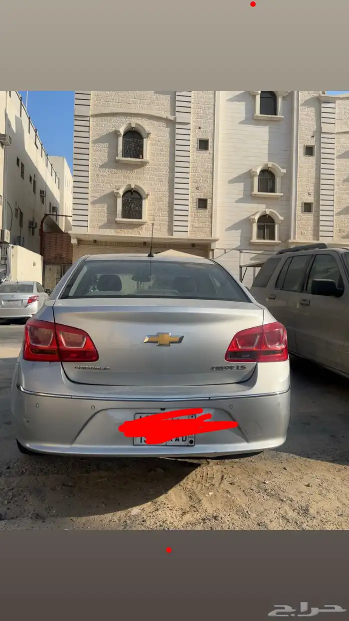 شفر كروز2017 1