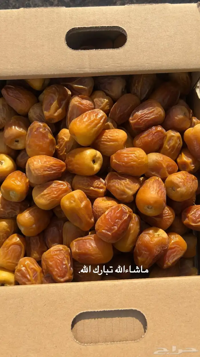 تمور القصيم 6