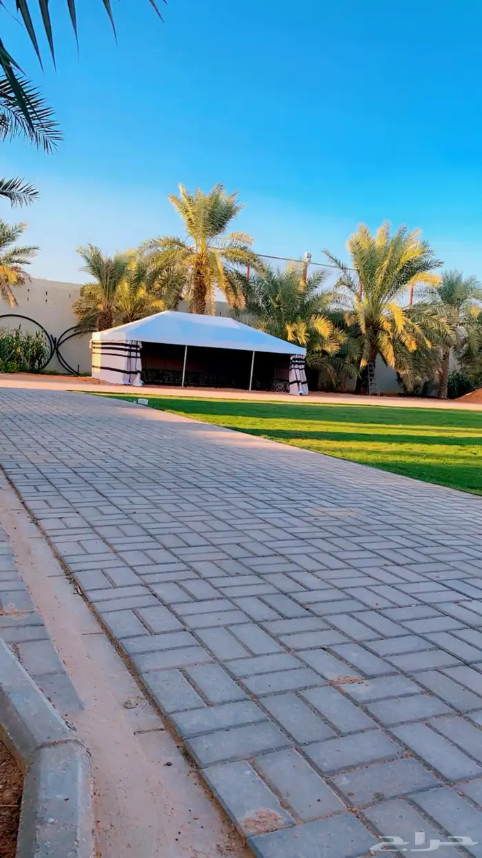 بيت شعر ملكي بيت شعر بدون اطناب بيت شعر بدون اعمده 17