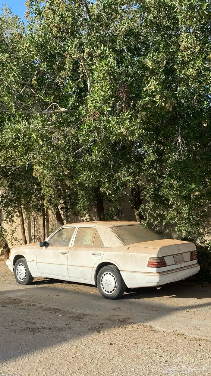 مرسيدس بنز 1991 E230 2