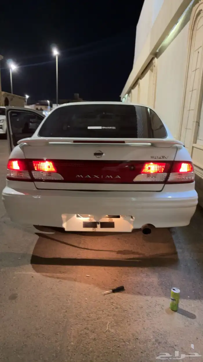 اسطب مكسيما وكاله نضيف 2