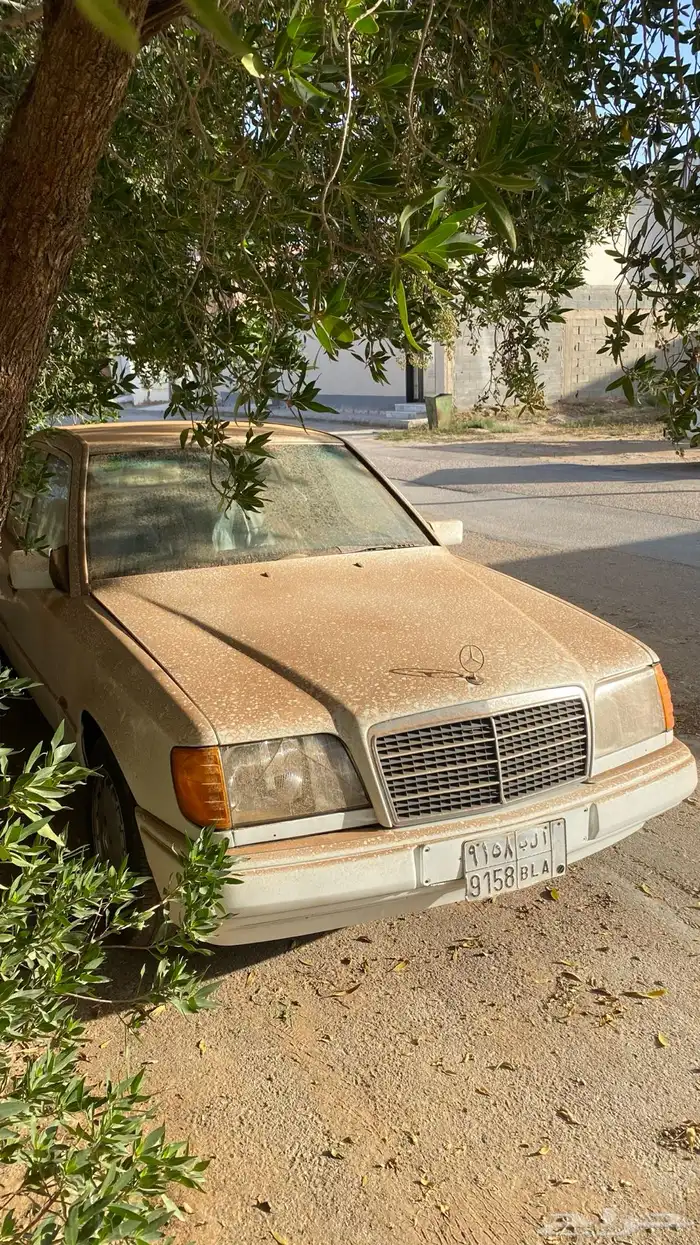 مرسيدس بنز 1991 E230 6