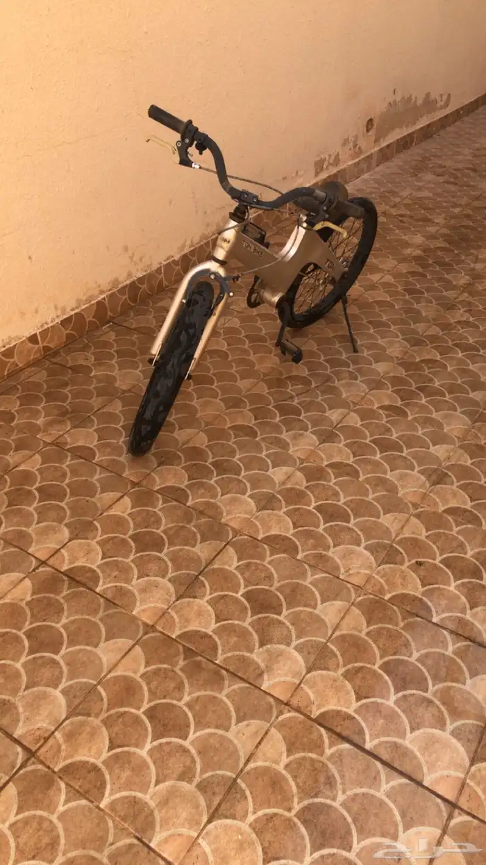 جهاز رياضي مع سيكل رياضي 3