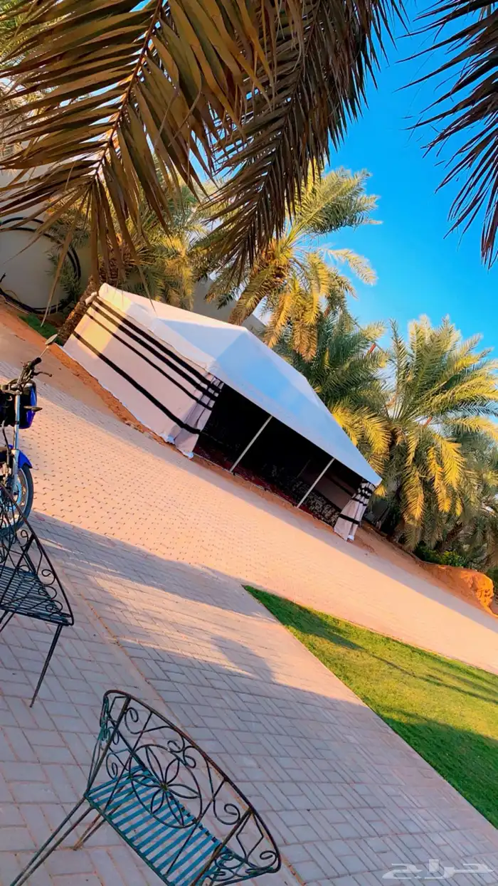 بيت شعر ملكي بيت شعر بدون اطناب بيت شعر بدون اعمده 19