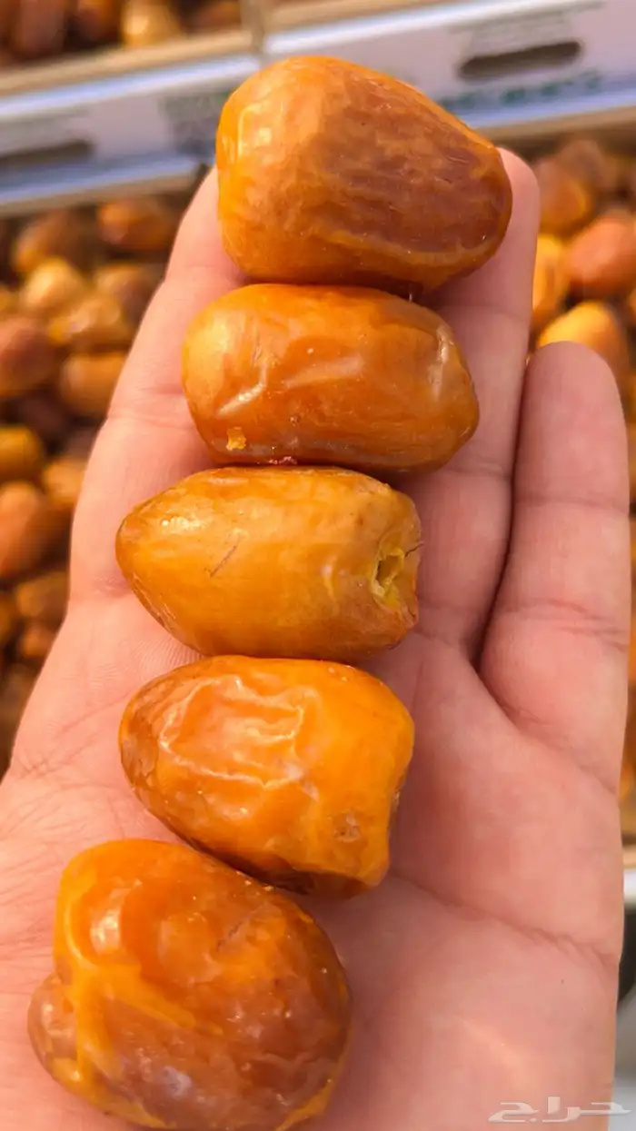 تمور القصيم 3
