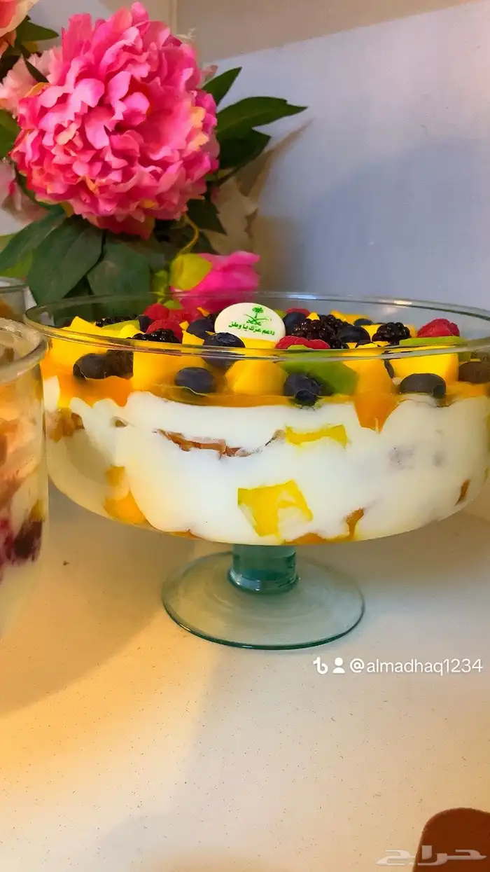 ترافل مانجو 9