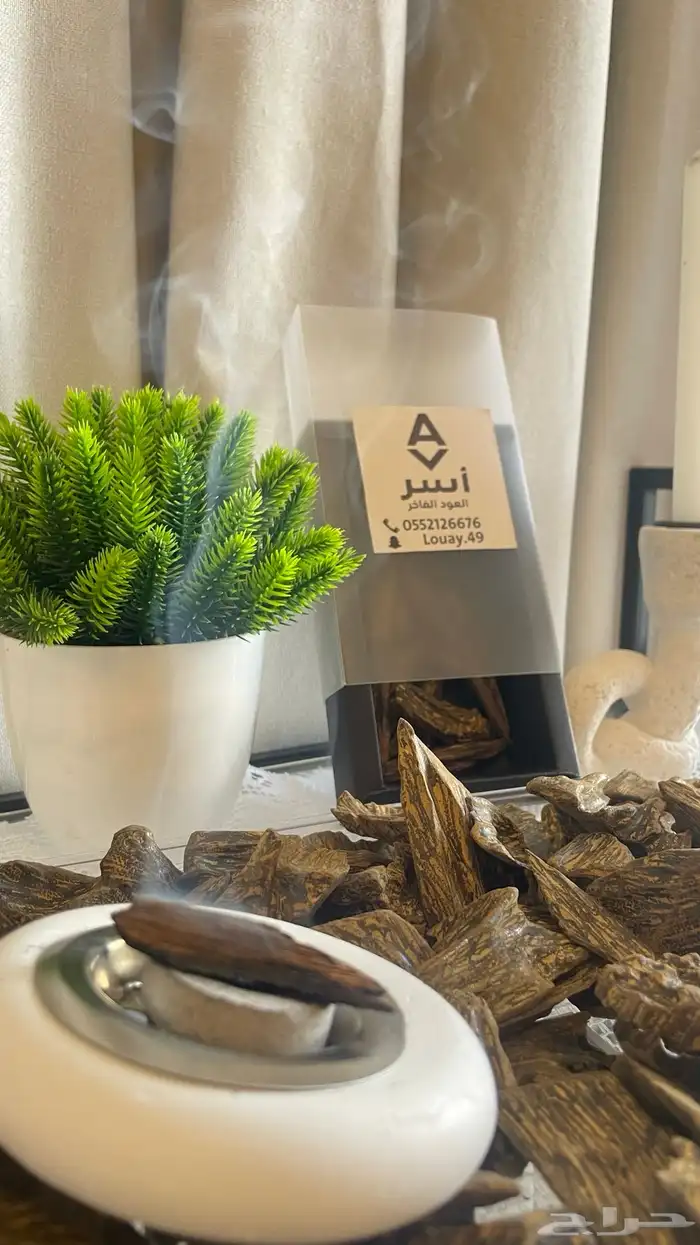 عودة موروكي محسن   كلمنتان درجة اولى 1