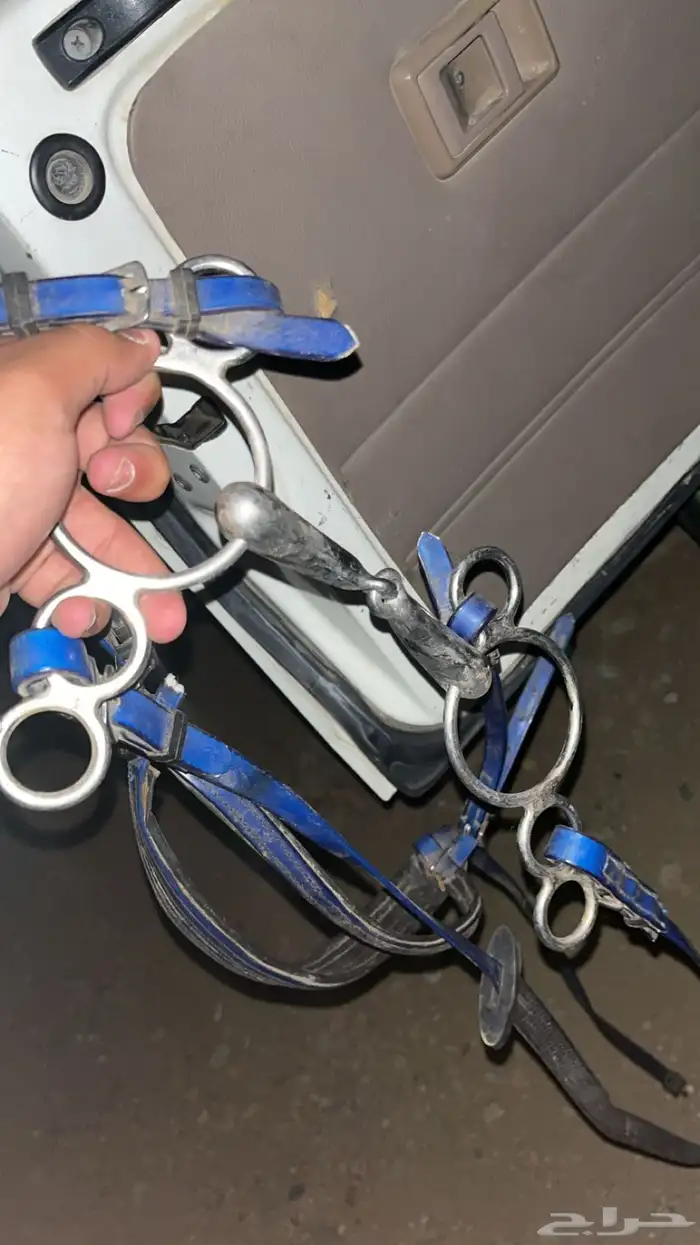 لجام شكيمه 0