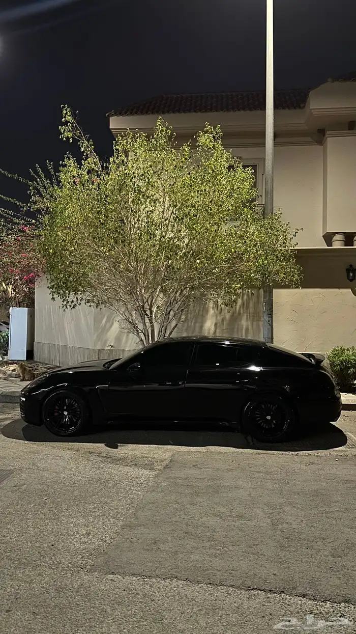 بورش باناميرا 21