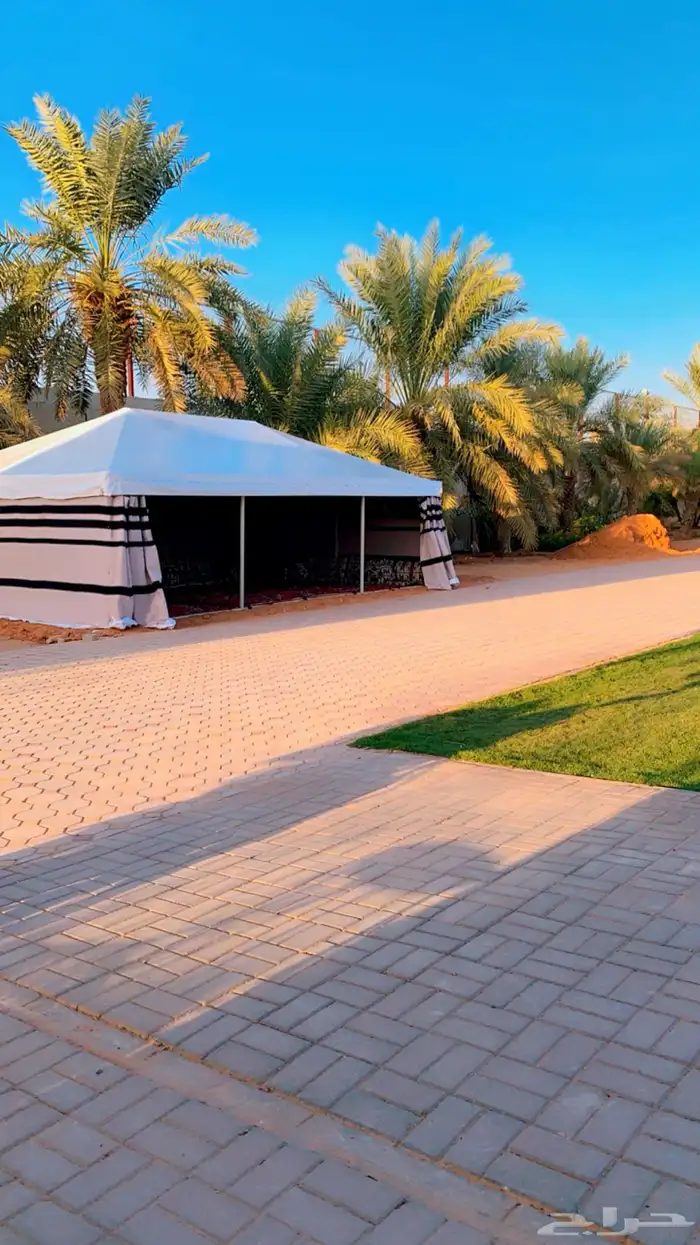 بيت شعر ملكي بيت شعر بدون اطناب بيت شعر بدون اعمده 15