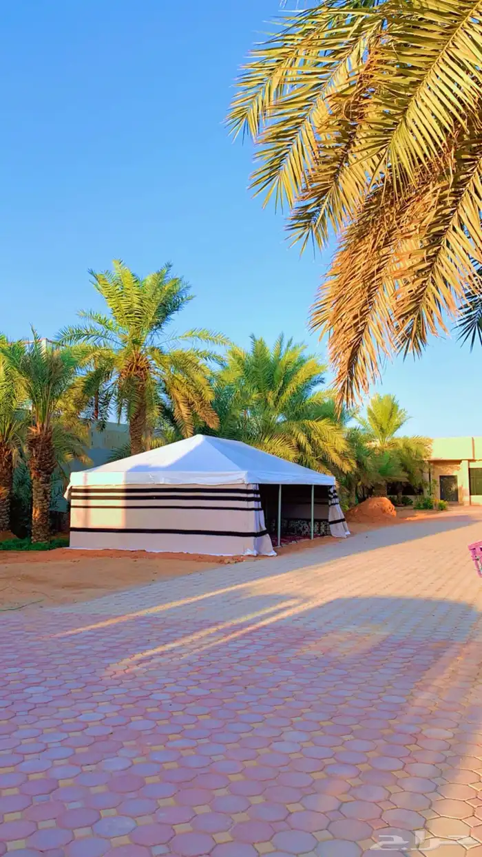 بيت شعر ملكي بيت شعر بدون اطناب بيت شعر بدون اعمده 21