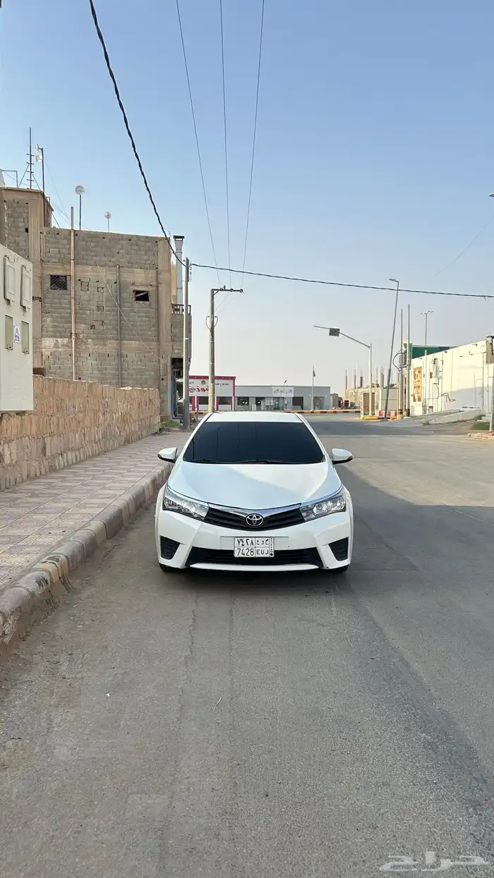 كوريلا 2016 8