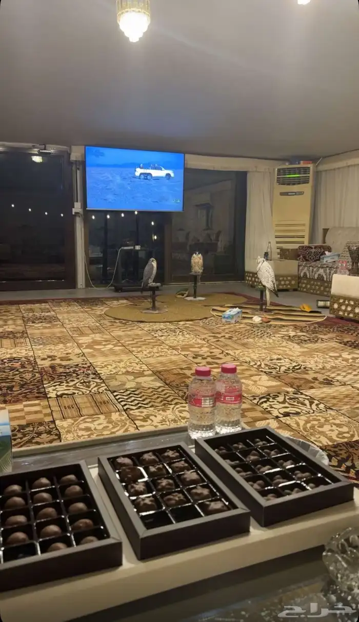 ربط صقور مبيت و دعو 4