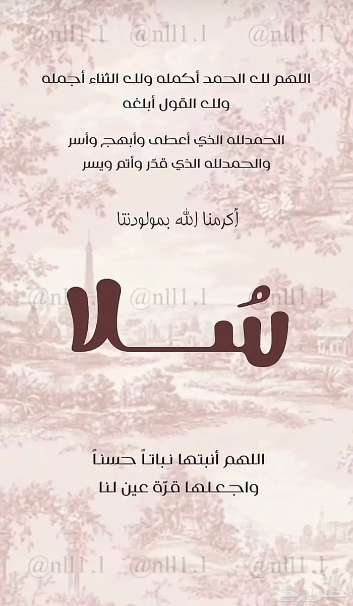 مصممة جرافيك 3