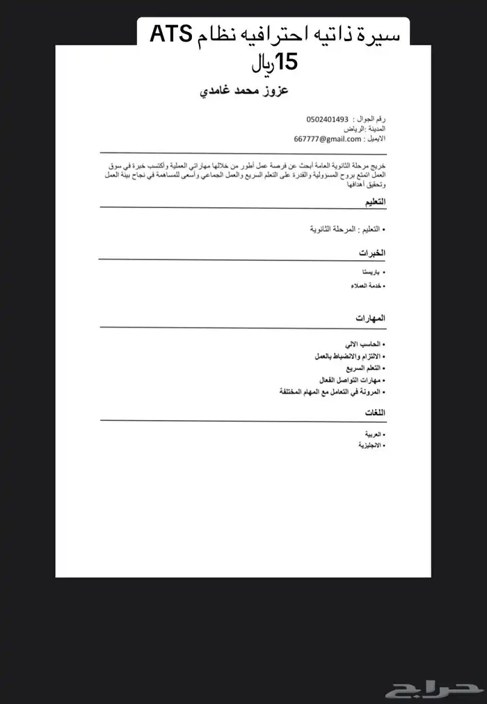 سيرة ذاتية احترافيه 0