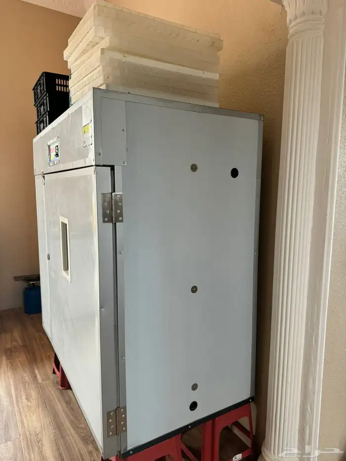 فقاسة 1054 بيضة دجاج 1