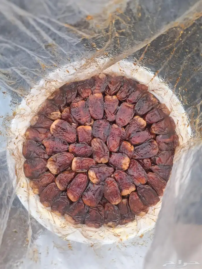 تمر برني العيص 0