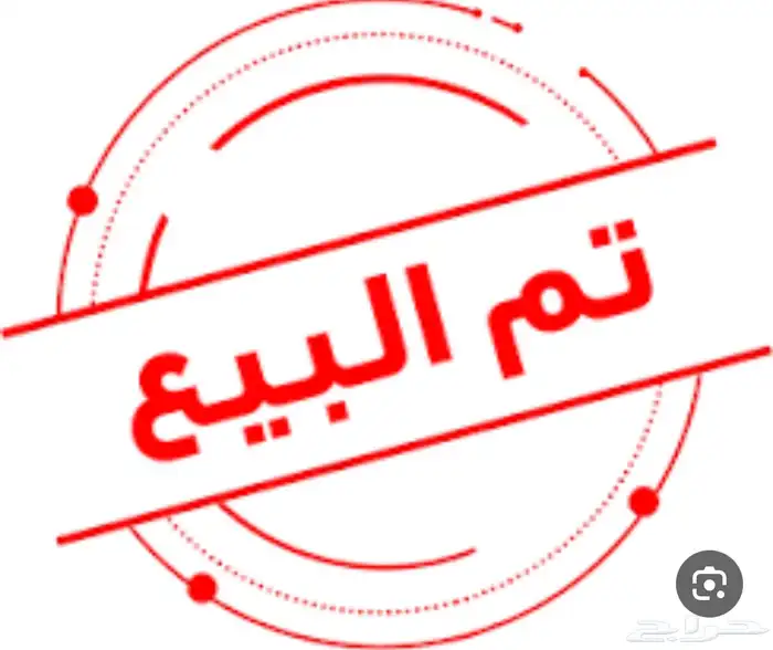 دجاج ابيض لوهان بلدي تم البيع 9