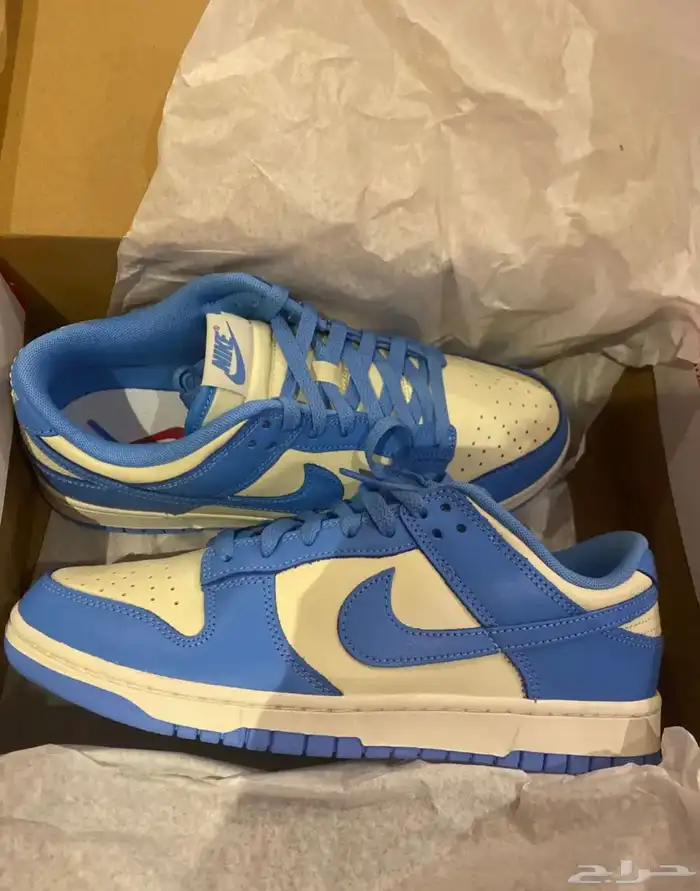 Nike Dunk Low Retro 0