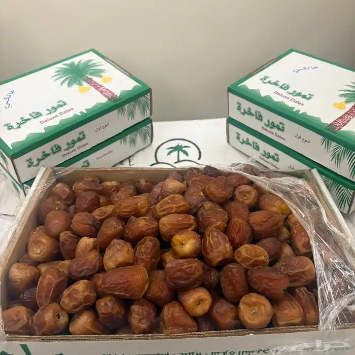تمر سكري و خلاص 1