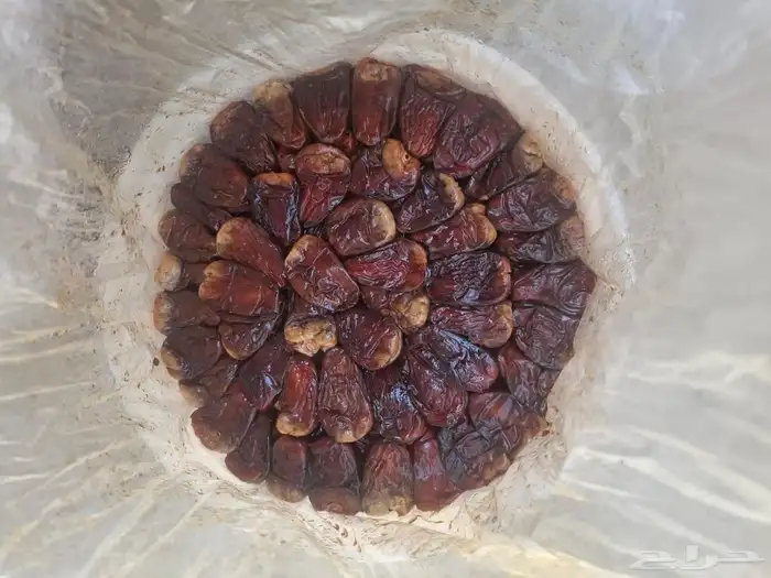 تمر برني العيص 1