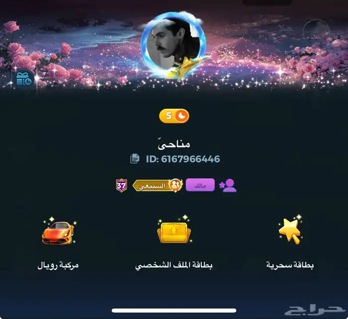 حساب لودو للبيع 1