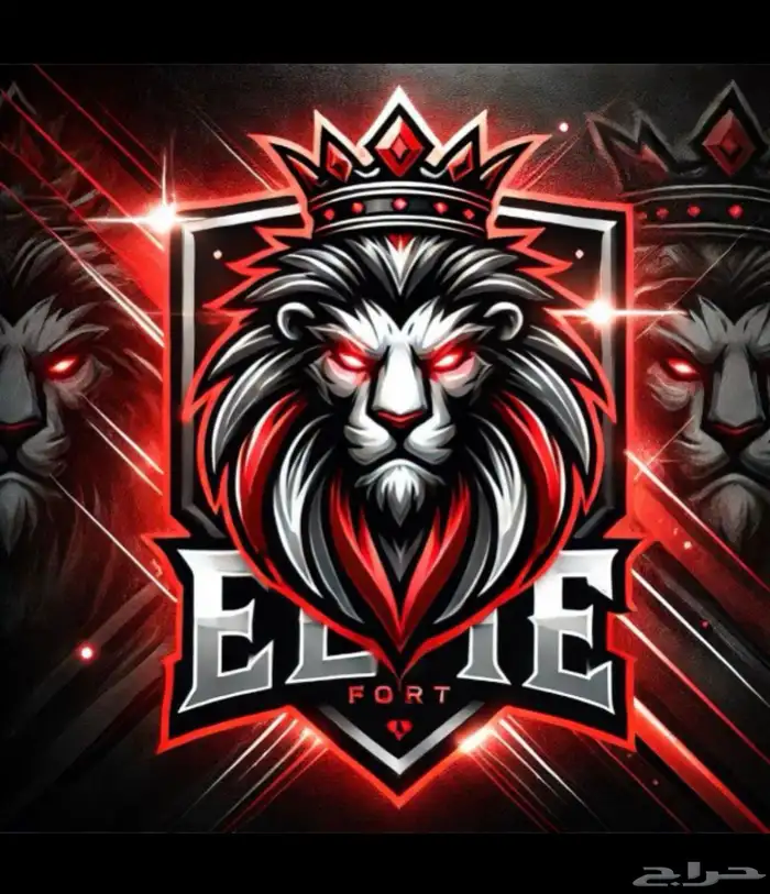 توفير حسابات فورتنايت على حسب الطلب 0