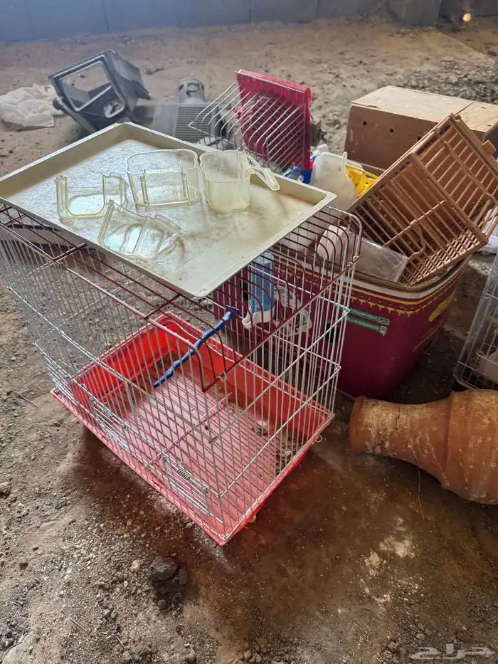 بياضات ومعالف وقفاص طيور 0