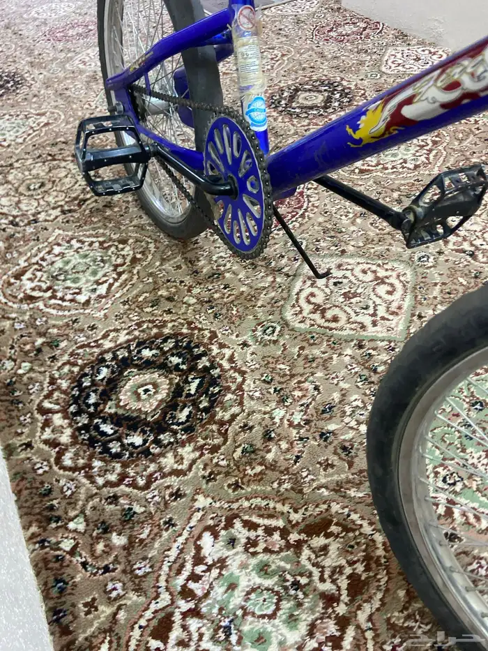 سيكل كوبرا الحجم 21 3