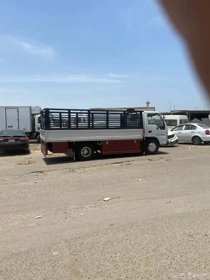 دينه ايسوزو 8