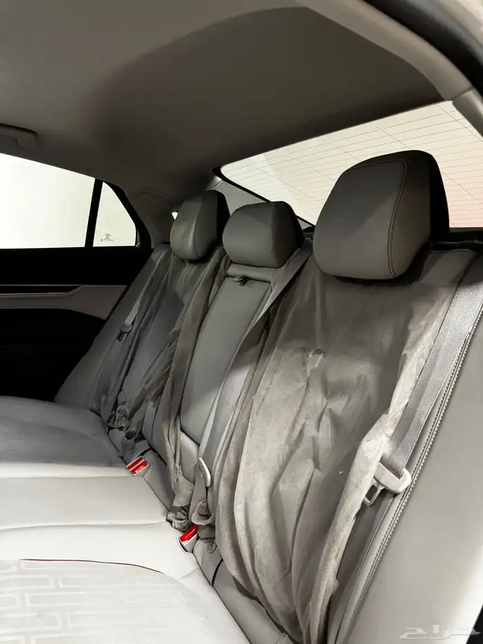 تورس 2025 ترند شبه اصفار 50