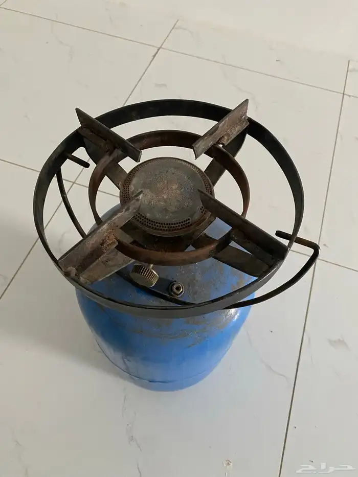 للبيع دافور راس إيطالي 1