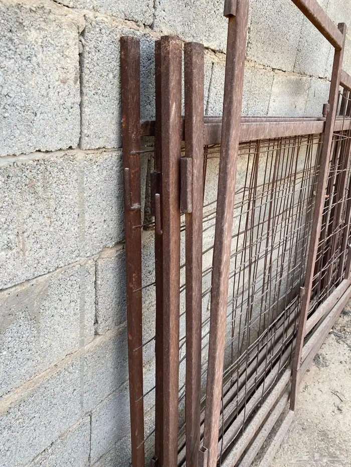 شبك غنم 5