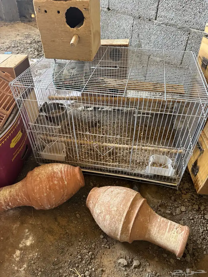 بياضات ومعالف وقفاص طيور 2