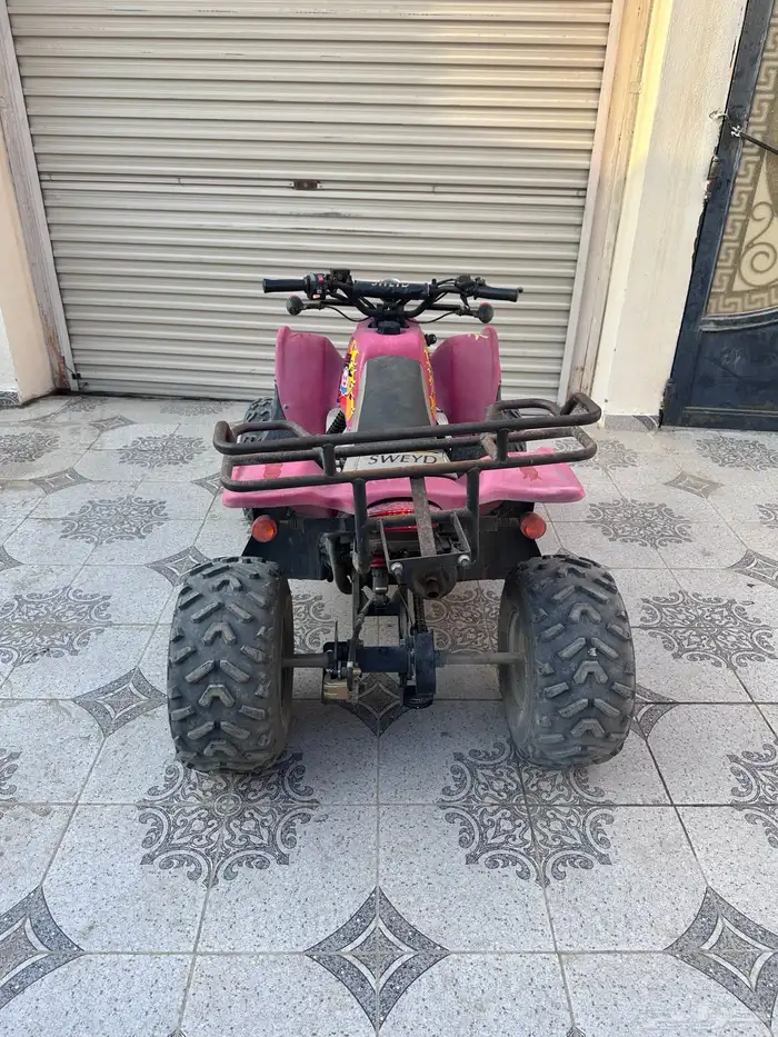 دباب 100 اربع كفرات للبيع 2