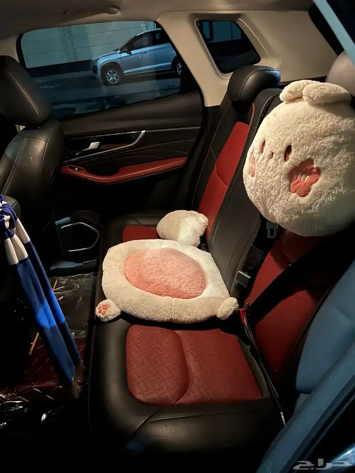 جيب صيني فاو بيستون 2022 8