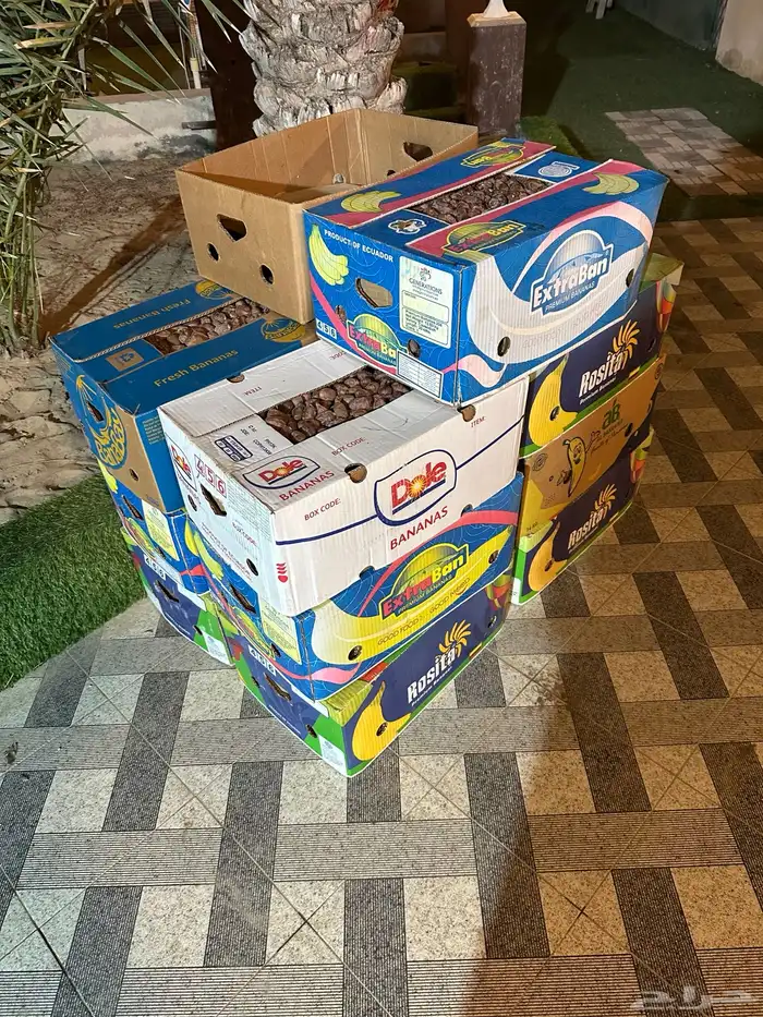 تمر خلاص 15 كرتون 2