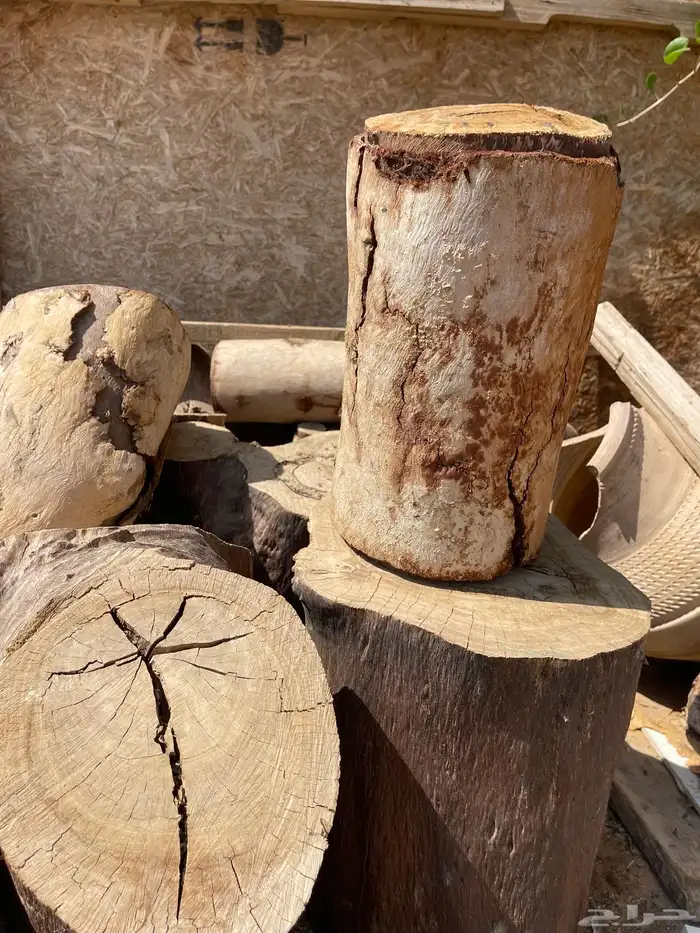 كراسي خشب طبيعي 1