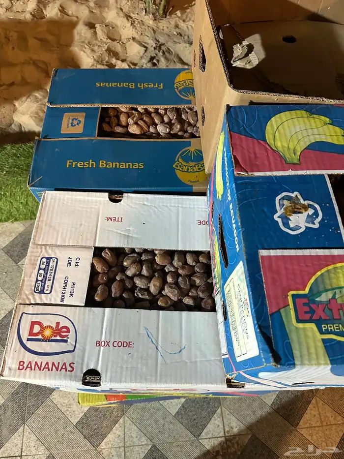 تمر خلاص 15 كرتون 3