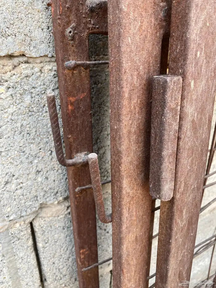 شبك غنم 2
