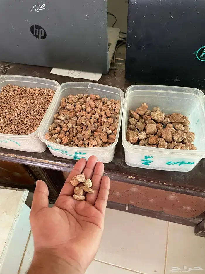 بطحاء حائل دنا 2
