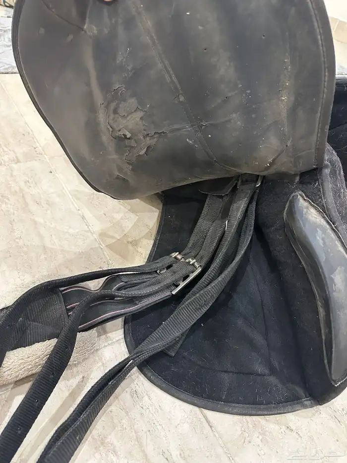 سرج خيل 1