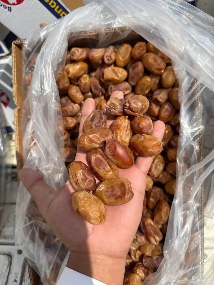 تمر خلاص حبة كبير اشقر 2