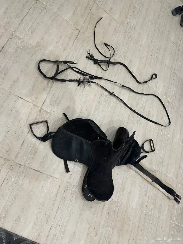 سرج خيل 4