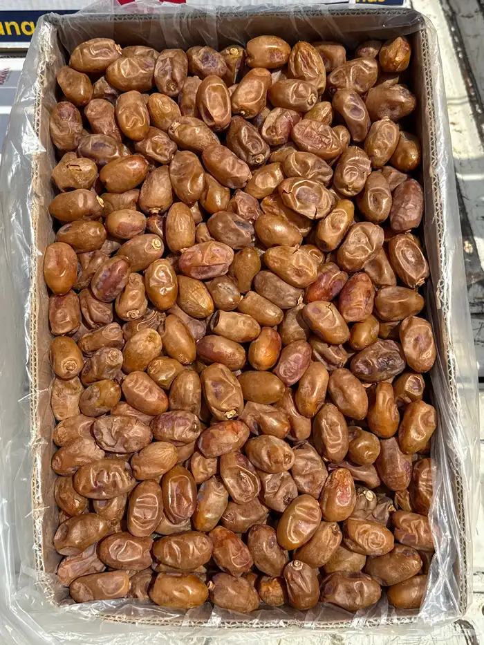 تمر خلاص حبة كبير اشقر 0