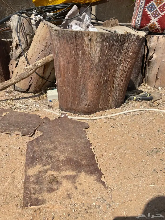 كراسي خشب طبيعي 0