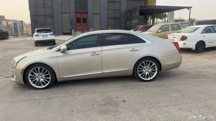 كاديلاك اكس تي اس بلاتينيوم 2013 XTS platinum 5
