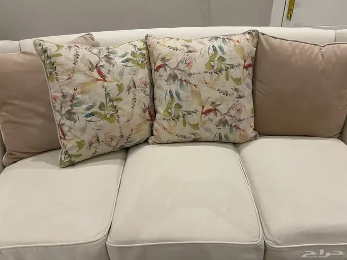 كنب اشلي. امريكي. 2